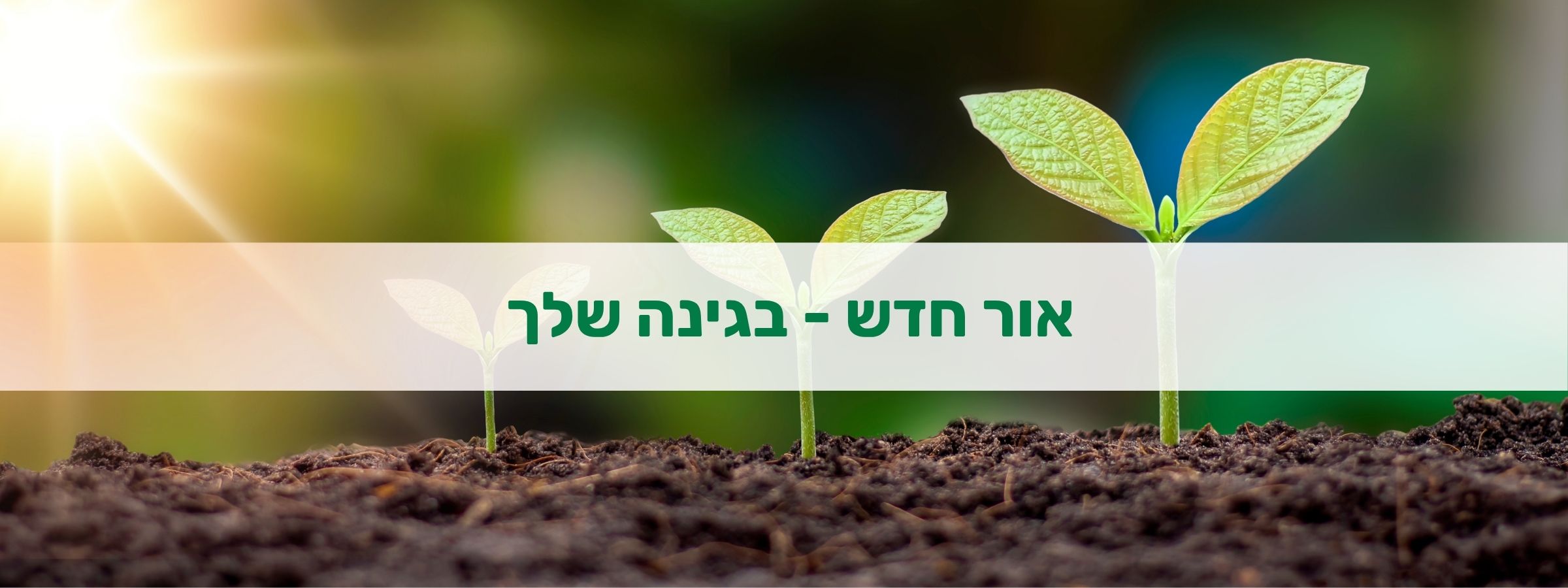 תמונה ללא תיאור